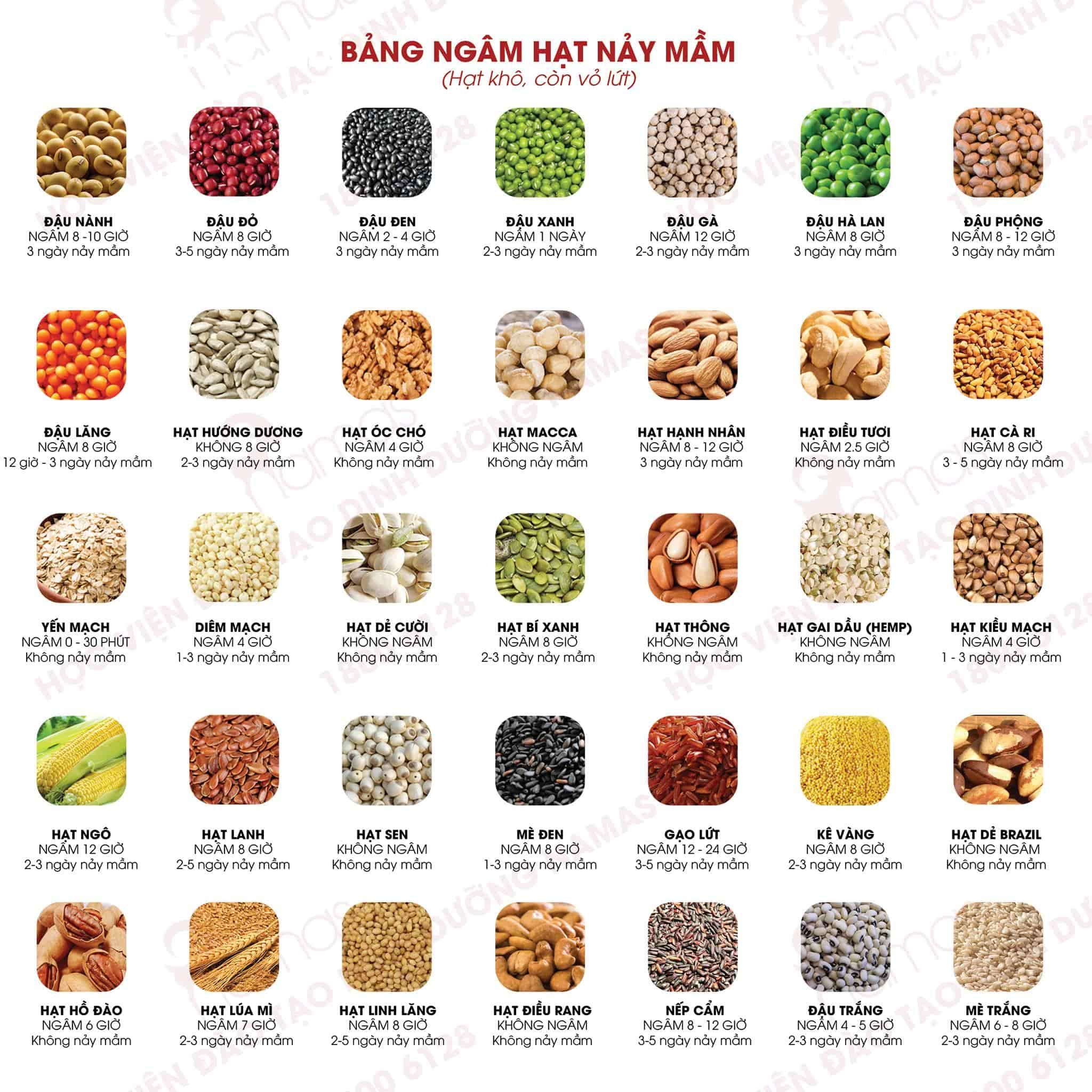 Sữa hạt - sữa thảo mộc tốt thay sữa bò cho bé 5 sua-hat-sua-thuc-vat-4