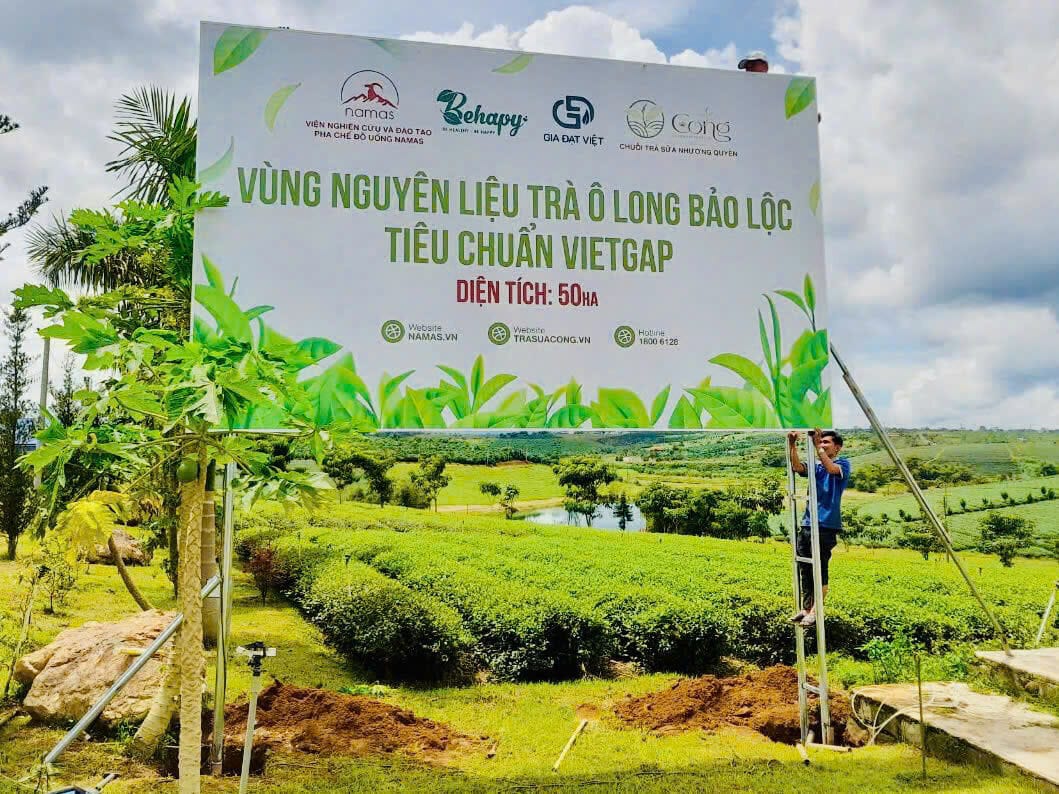 Namas hợp tác với Vùng Trà Gia Đạt Việt – Đưa tinh hoa trà Việt vào nghệ thuật pha chế - Học Viện Đào Tạo Namas