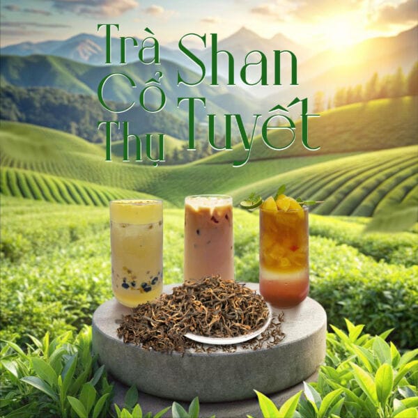 Trà Shan Tuyết: Lợi Ích Vàng và Tiềm Năng Kinh Doanh Đột Phá 7 Trà 5